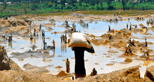 5 biggest natural resources in Congo DRC