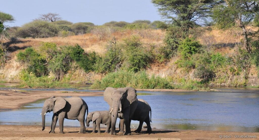 Kitonga Tours and Safaris - Tanzania | AFRIKTA