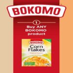 Bokomo Botswana (Pty) Ltd