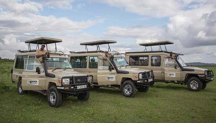 Gosheni Safaris Africa - Top 10 Tour Companies in Tanzania