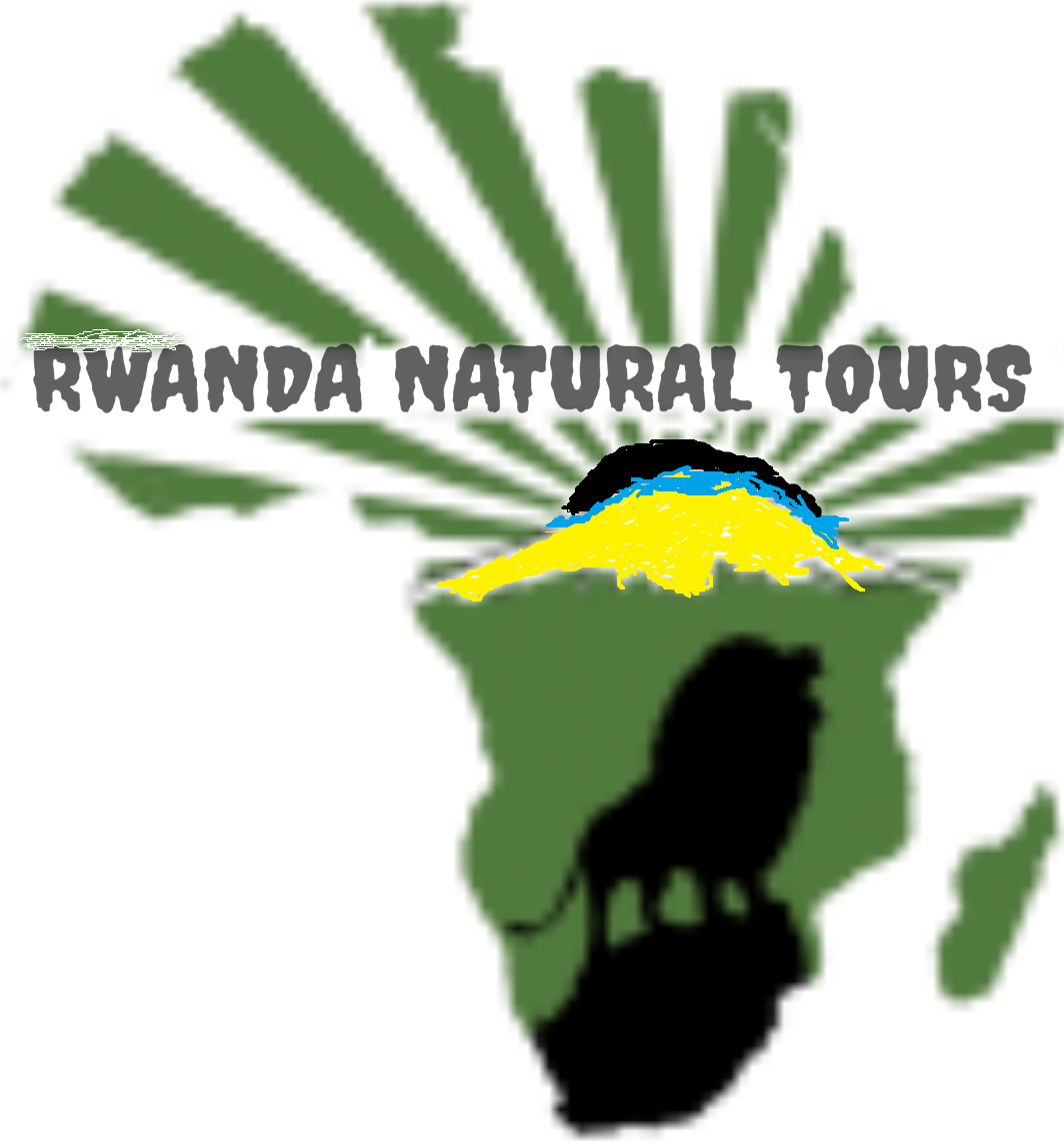 RWANDA NATURAL TOURS CO LTD