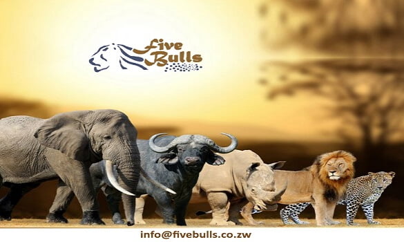 Fivebulls Travel Tours & Safaris