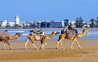 Private Tour Operators & Travel Agents in Morocco-Morocco Tour Operators