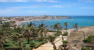 Business Opportunities in Senegal